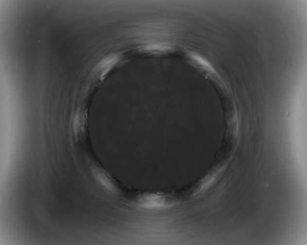 X0000085300325200703091438