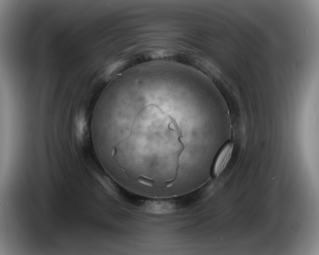 X0000085300327200703091438