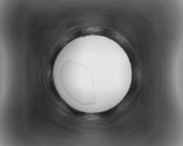 X0000085300328200703091438