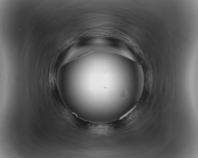 X0000085300329200703091438