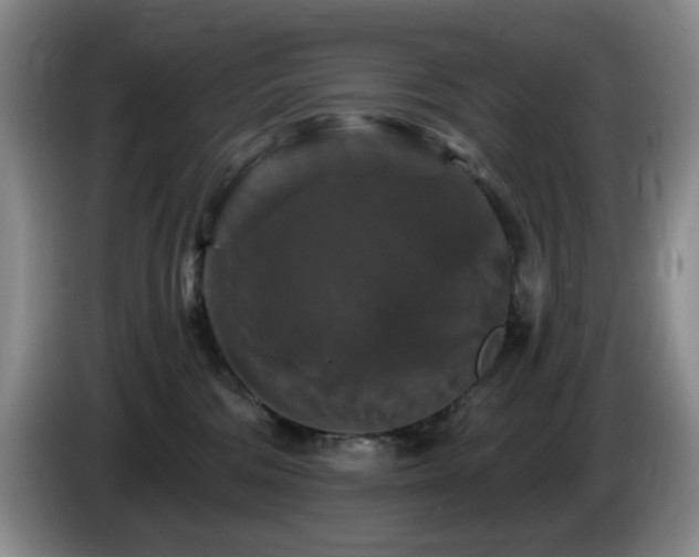 X0000085300330200703091438