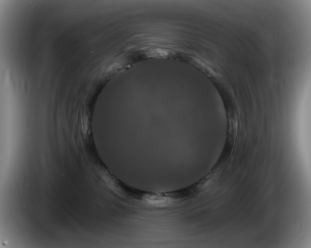 X0000085300331200703091438