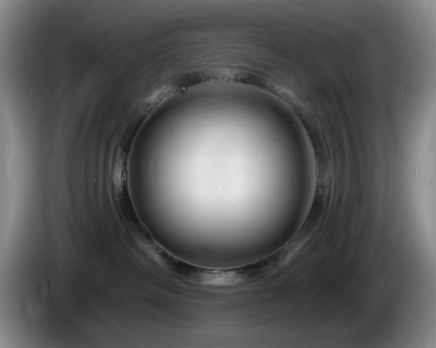 X0000085300334200703091438