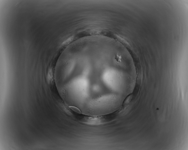 X0000085300335200703091438