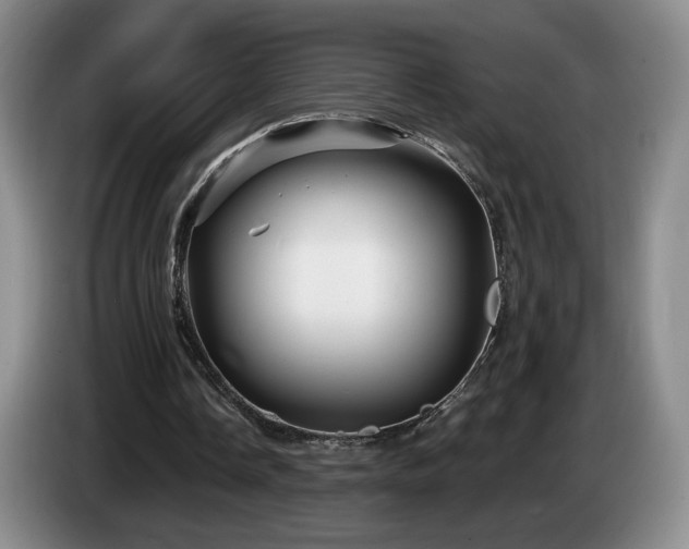 X0000085300338200703091437