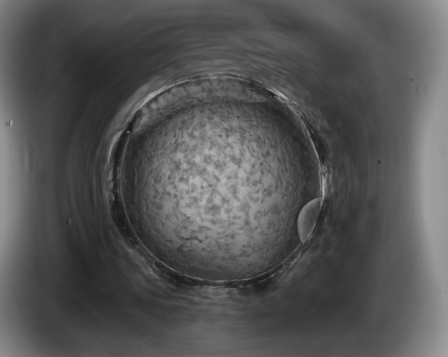 X0000085300339200703091437