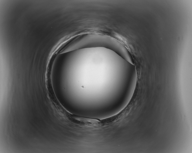 X0000085300340200703091437