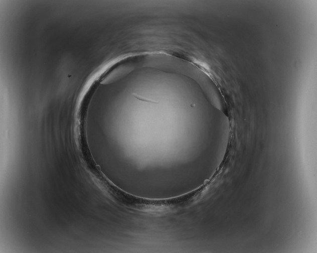 X0000085300342200703091437