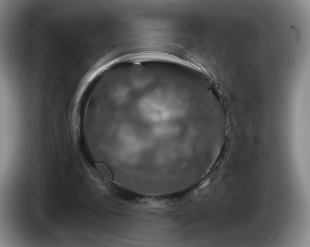 X0000085300343200703091437