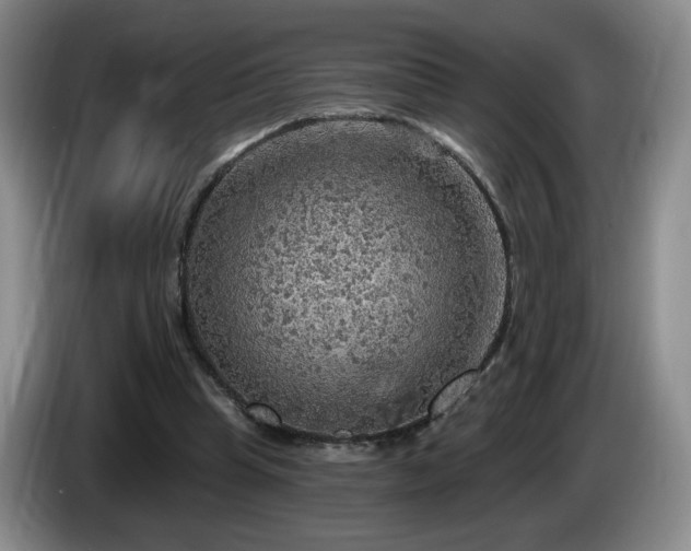 X0000085300345200703091437