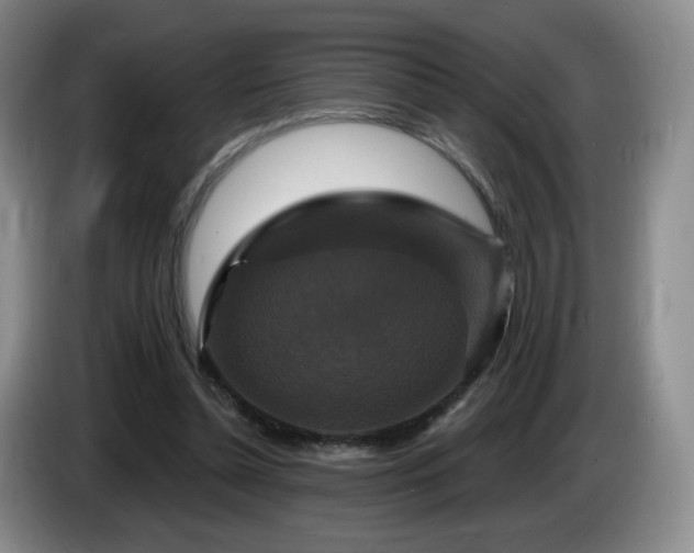 X0000085300348200703091437