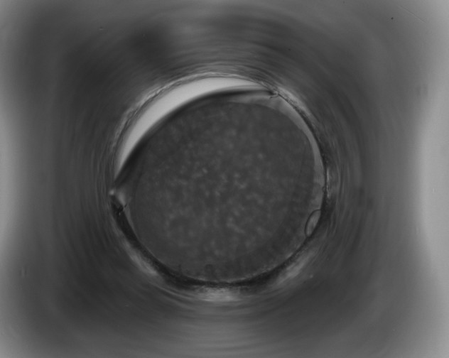 X0000085300349200703091437