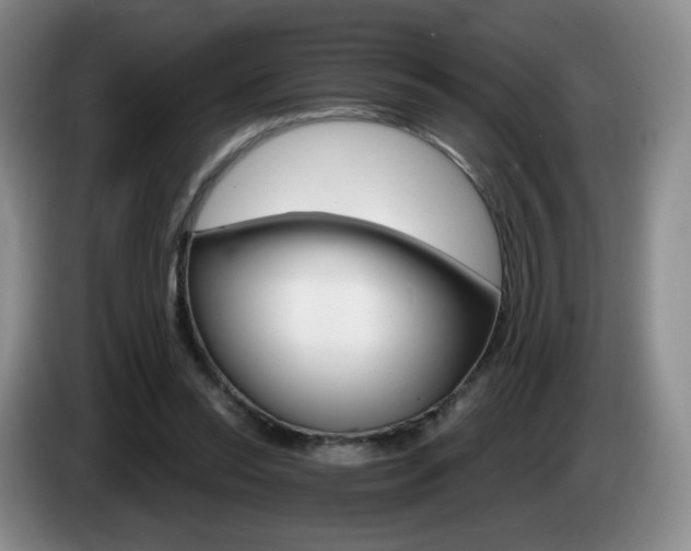 X0000085300350200703091437