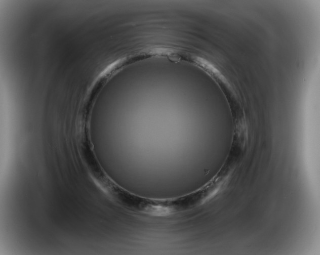 X0000085300352200703091437