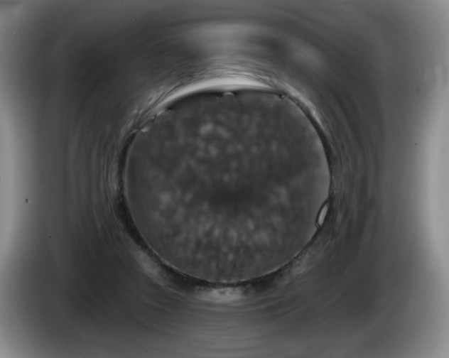 X0000085300353200703091437