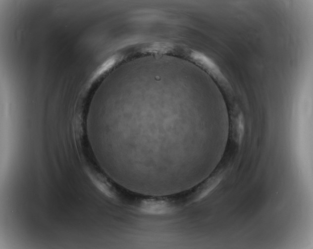 X0000085300354200703091437