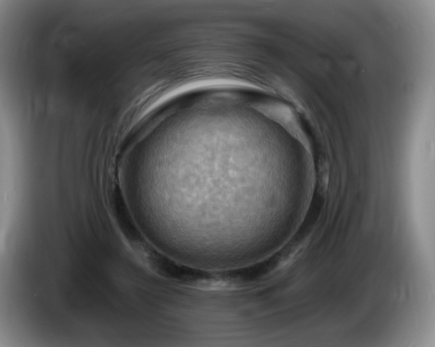 X0000085300356200703091437