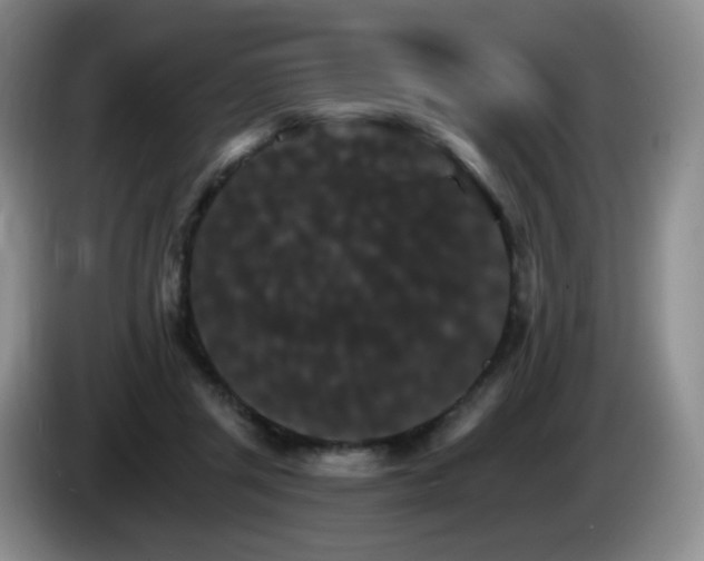 X0000085300357200703091437