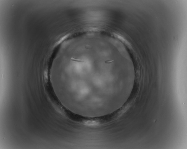 X0000085300358200703091437