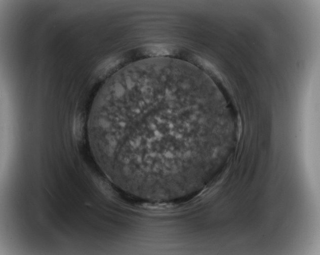 X0000085300359200703091437