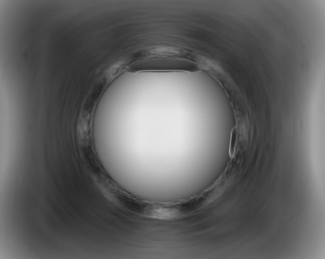 X0000085300360200703091437