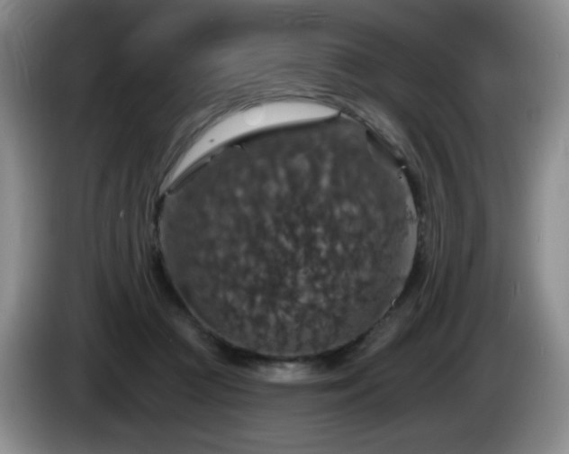 X0000085300361200703091437