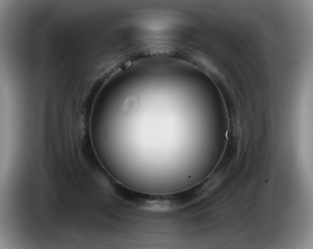 X0000085300362200703091437