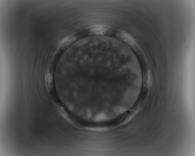 X0000085300365200703091437