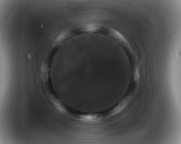 X0000085300366200703091437