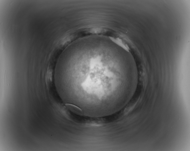 X0000085300368200703091437