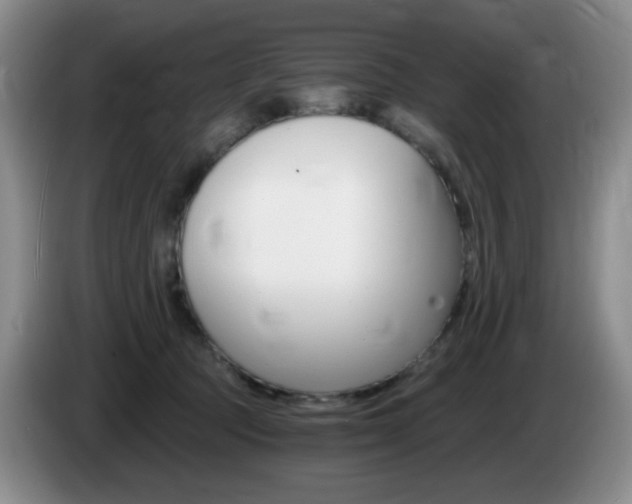 X0000085300369200703091437