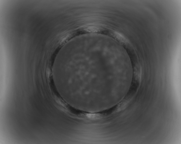 X0000085300371200703091438