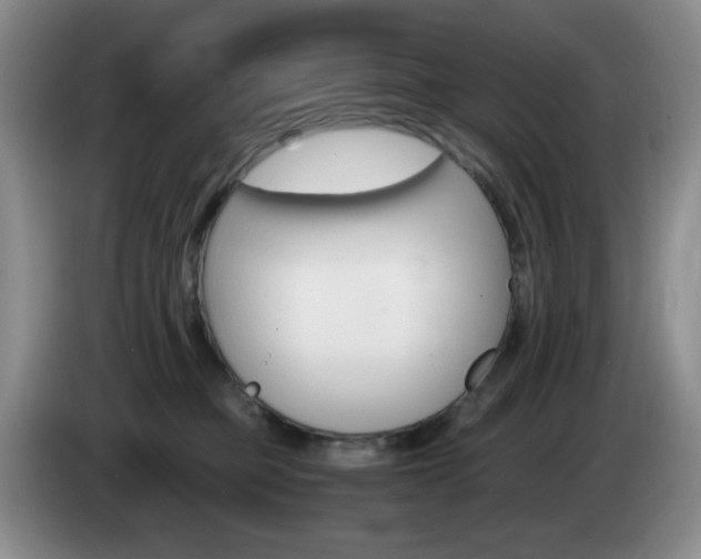 X0000085300373200703091438