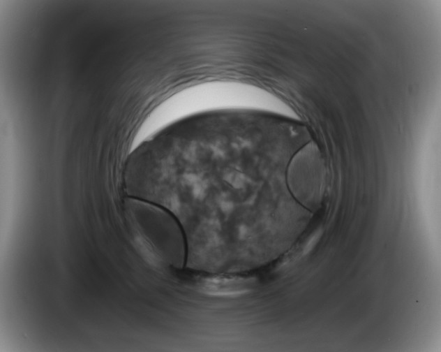 X0000085300375200703091438