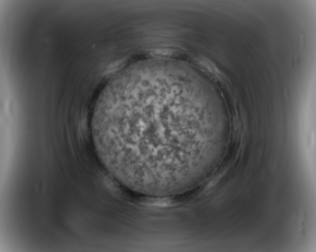 X0000085300377200703091438