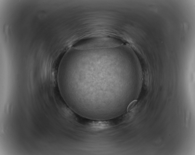 X0000085300378200703091438