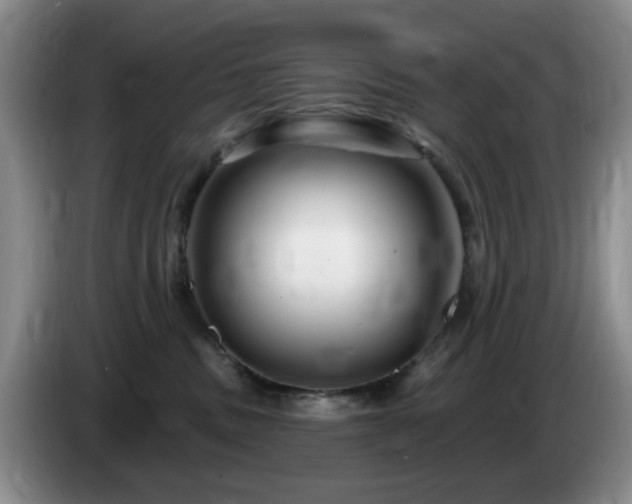 X0000085300379200703091438