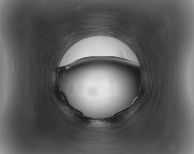 X0000085300380200703091438