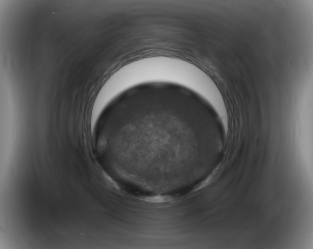 X0000085300382200703091438