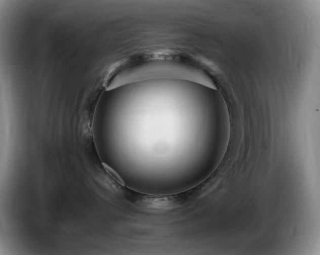 X0000085300384200703091438