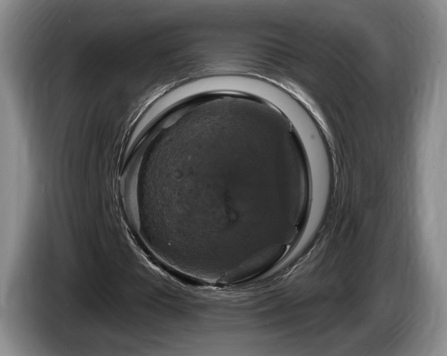 X0000085300385200703091437