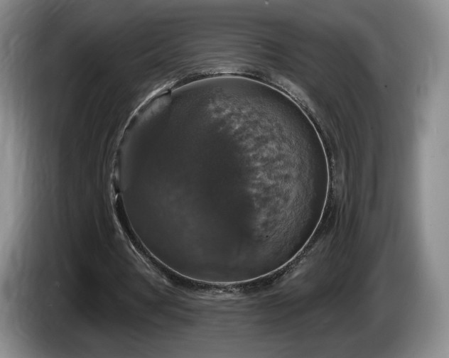 X0000085300386200703091437