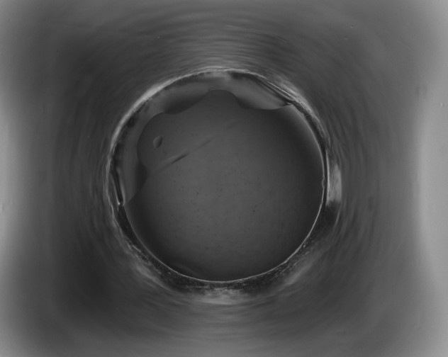 X0000085300387200703091437