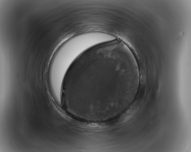 X0000085300390200703091437