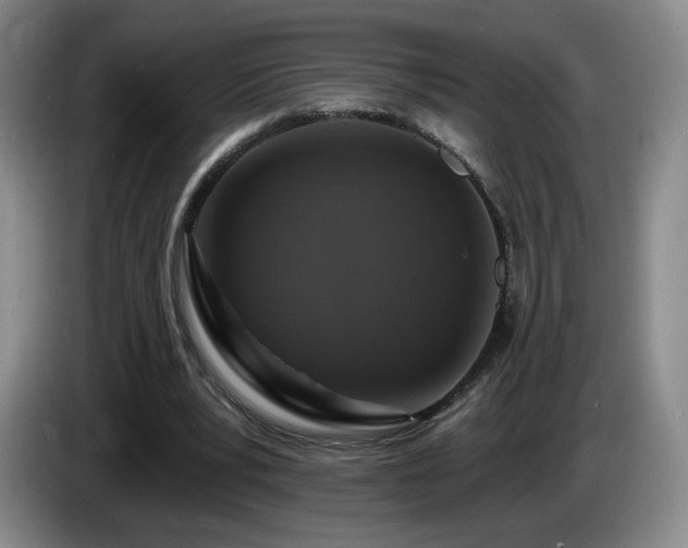 X0000085300391200703091437