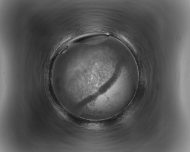 X0000085300394200703091437