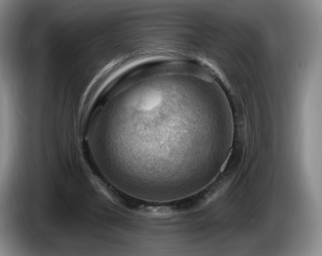 X0000085300395200703091437