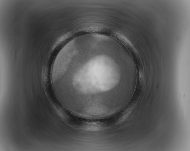 X0000085300396200703091437