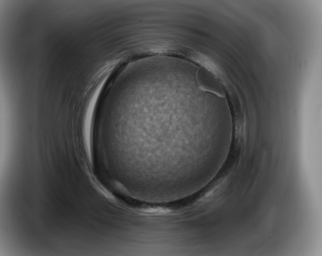 X0000085300397200703091437