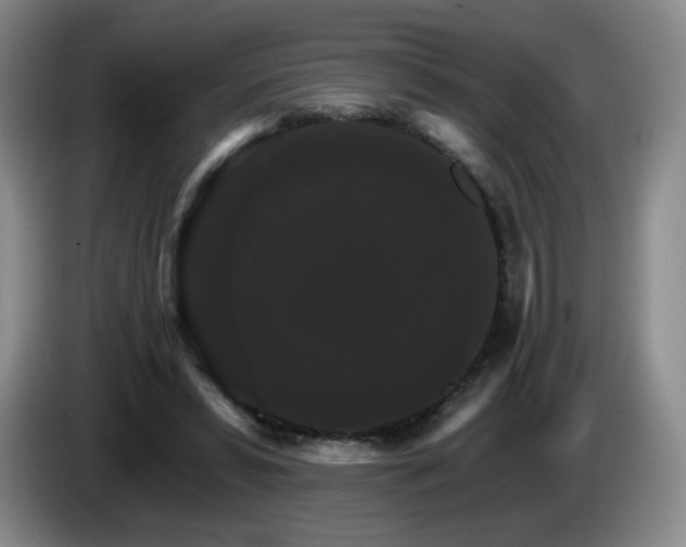 X0000085300399200703091437